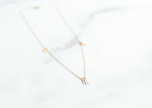 Load image into Gallery viewer, Dainty Gold Fringe Accent Necklace